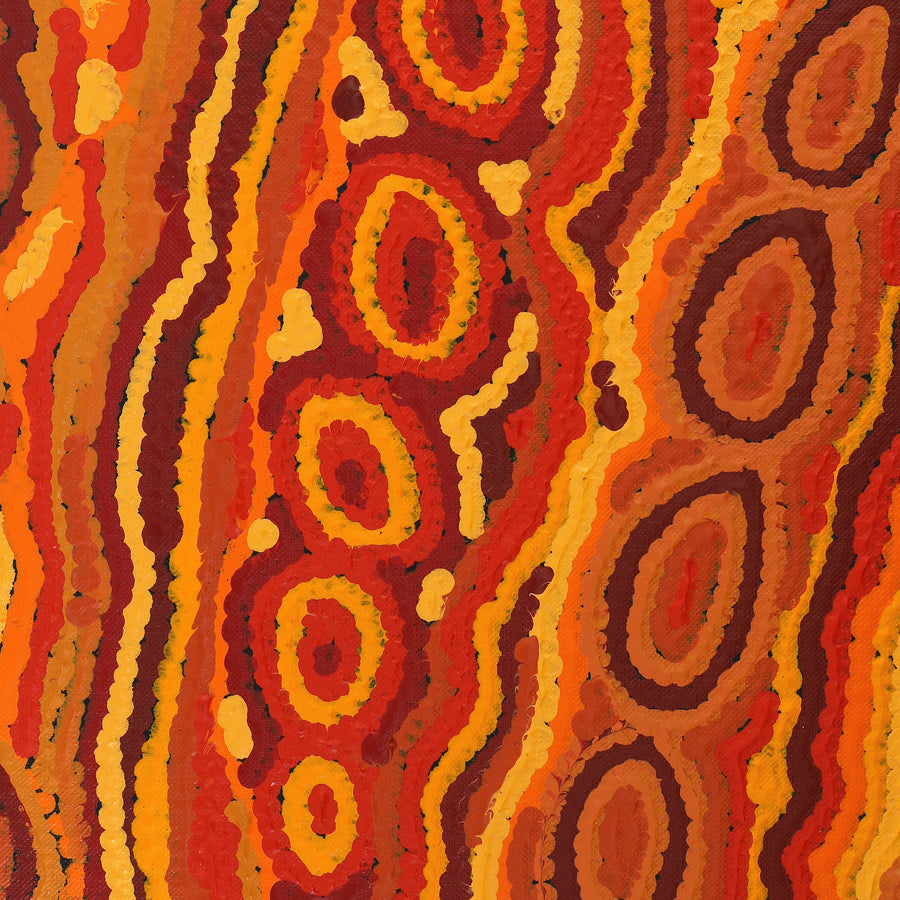 Aboriginal Artwork by Christine Nakamarra Curtis, Mina Mina Jukurrpa, 122x30cm