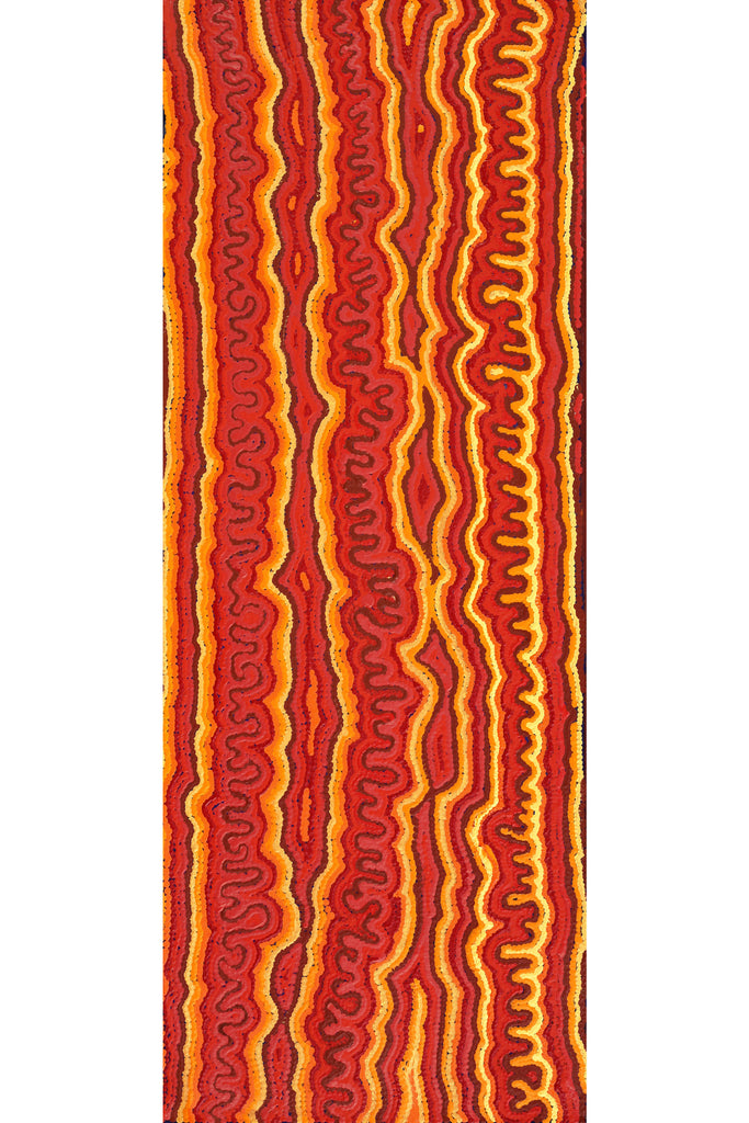 Aboriginal Artwork by Christine Nakamarra Curtis, Mina Mina Jukurrpa, 122x46cm