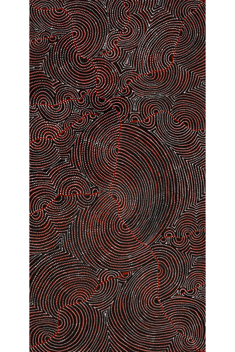 Aboriginal Art by Christine Nakamarra Curtis, Mina Mina Jukurrpa, 122x61cm - ART ARK®