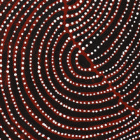 Aboriginal Artwork by Christine Nakamarra Curtis, Mina Mina Jukurrpa, 122x61cm