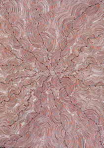 Aboriginal Artwork by Christine Nakamarra Curtis, Mina Mina Jukurrpa, 152x107cm - ART ARK®