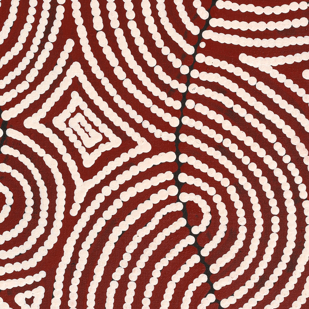 Aboriginal Artwork by Christine Nakamarra Curtis, Mina Mina Jukurrpa, 183x61cm