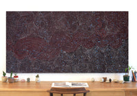 Aboriginal Artwork by Christine Nakamarra Curtis, Mina Mina Jukurrpa, 182x91cm