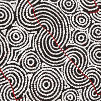Aboriginal Artwork by Christine Nakamarra Curtis, Mina Mina Jukurrpa, 76x61cm