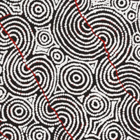 Aboriginal Artwork by Christine Nakamarra Curtis, Mina Mina Jukurrpa, 76x61cm