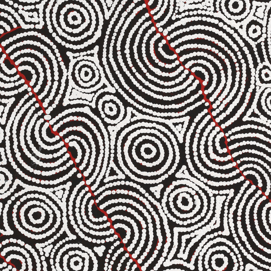Aboriginal Artwork by Christine Nakamarra Curtis, Mina Mina Jukurrpa, 76x61cm