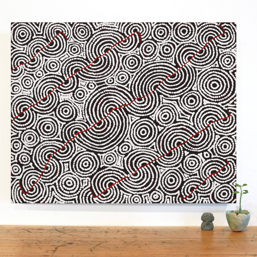 Aboriginal Artwork by Christine Nakamarra Curtis, Mina Mina Jukurrpa, 76x61cm