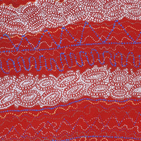 Aboriginal Artwork by Christine Nakamarra Curtis, Mina Mina Jukurrpa, 91x91cm