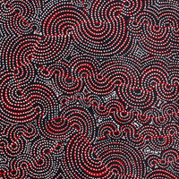 Aboriginal Artwork by Christine Nakamarra Curtis, Mina Mina Jukurrpa, 122x61cm