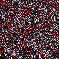 Aboriginal Artwork by Christine Nakamarra Curtis, Mina Mina Jukurrpa, 122x61cm