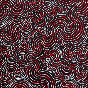 Aboriginal Art by Christine Nakamarra Curtis, Mina Mina Jukurrpa, 122x61cm - ART ARK®