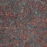 Aboriginal Artwork by Christine Nakamarra Curtis, Mina Mina Jukurrpa, 122x61cm