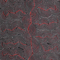 Aboriginal Artwork by Patrick Japangardi Williams, Mina Mina Jukurrpa (Mina Mina Dreaming) - Ngalyipi, 182x61cm
