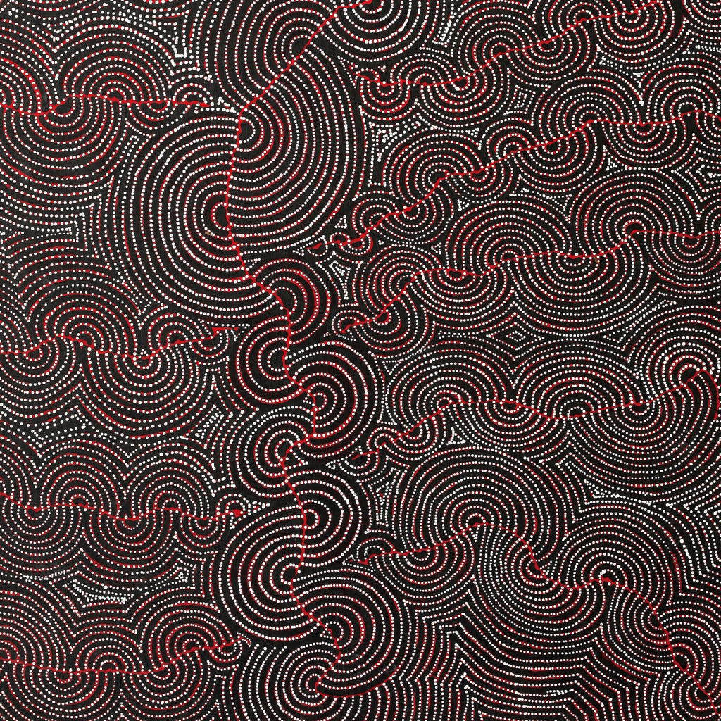Aboriginal Artwork by Christine Nakamarra Curtis, Mina Mina Jukurrpa, 182x107cm