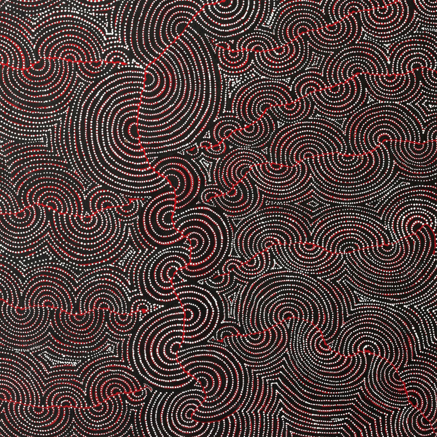 Aboriginal Artwork by Christine Nakamarra Curtis, Mina Mina Jukurrpa, 182x107cm