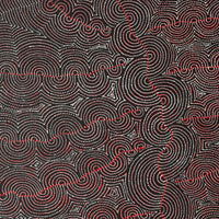 Aboriginal Artwork by Christine Nakamarra Curtis, Mina Mina Jukurrpa, 182x107cm
