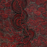 Aboriginal Artwork by Christine Nakamarra Curtis, Mina Mina Jukurrpa, 183x76cm