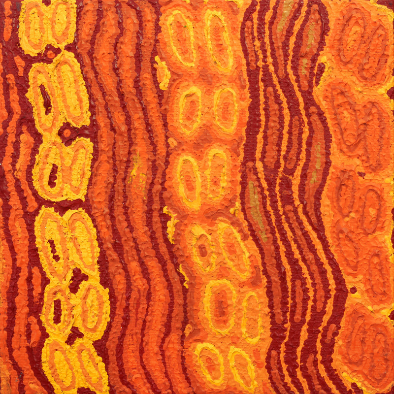 Aboriginal Artwork by Christine Nakamarra Curtis, Lappi Lappi Jukurrpa, 30x30cm