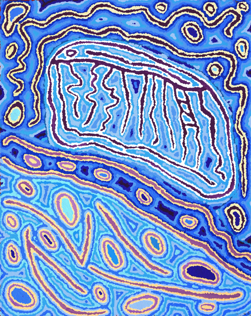 Aboriginal Artwork by Christine Nakamarra Curtis, Lappi Lappi Jukurrpa, 76x61cm - ART ARK®