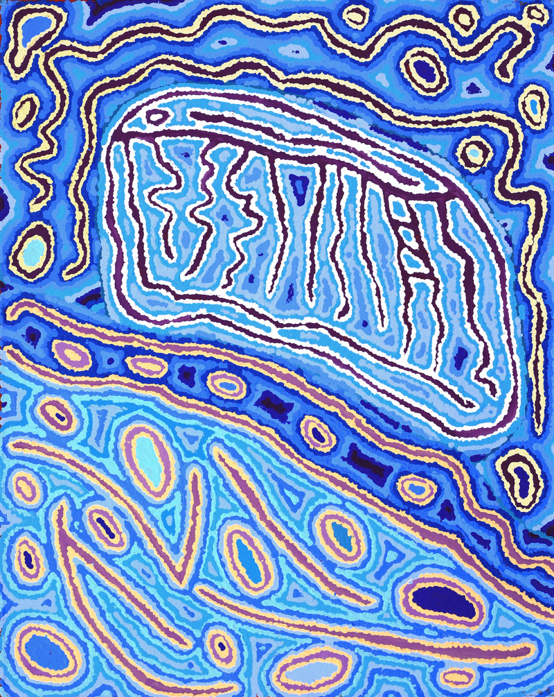 Aboriginal Artwork by Christine Nakamarra Curtis, Lappi Lappi Jukurrpa, 76x61cm