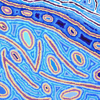 Aboriginal Artwork by Christine Nakamarra Curtis, Lappi Lappi Jukurrpa, 76x61cm
