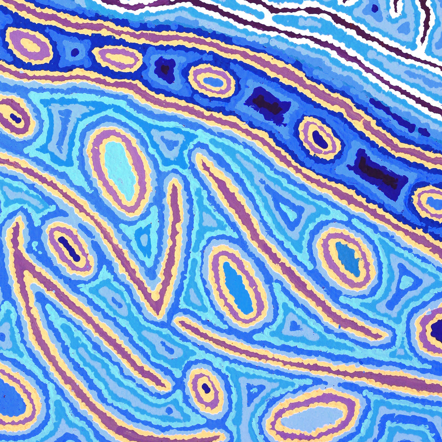 Aboriginal Artwork by Christine Nakamarra Curtis, Lappi Lappi Jukurrpa, 76x61cm