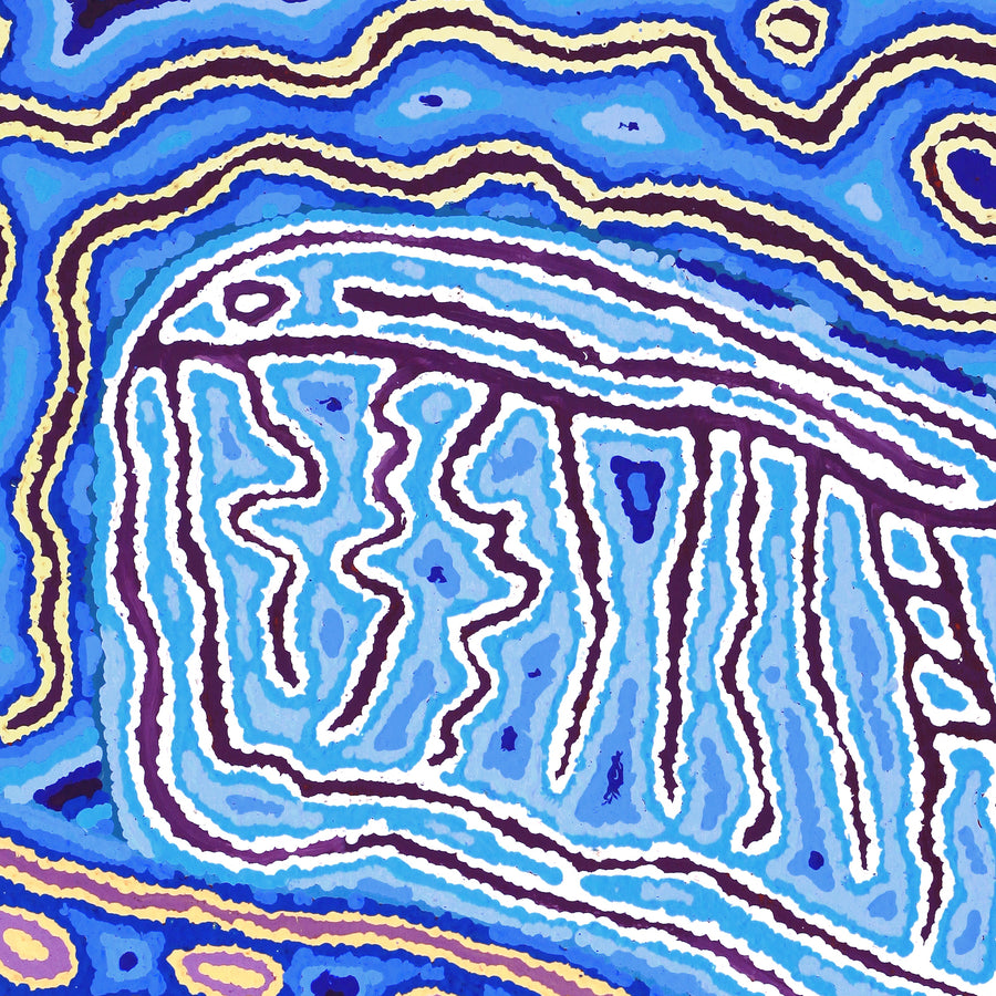 Aboriginal Artwork by Christine Nakamarra Curtis, Lappi Lappi Jukurrpa, 76x61cm