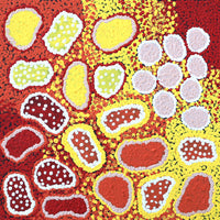 Aboriginal Art by Cindy Nampijinpa Mandijarra, Wardapi Jukurrpa (Goanna Dreaming) - Yarripurlangu, 30x30cm - ART ARK®