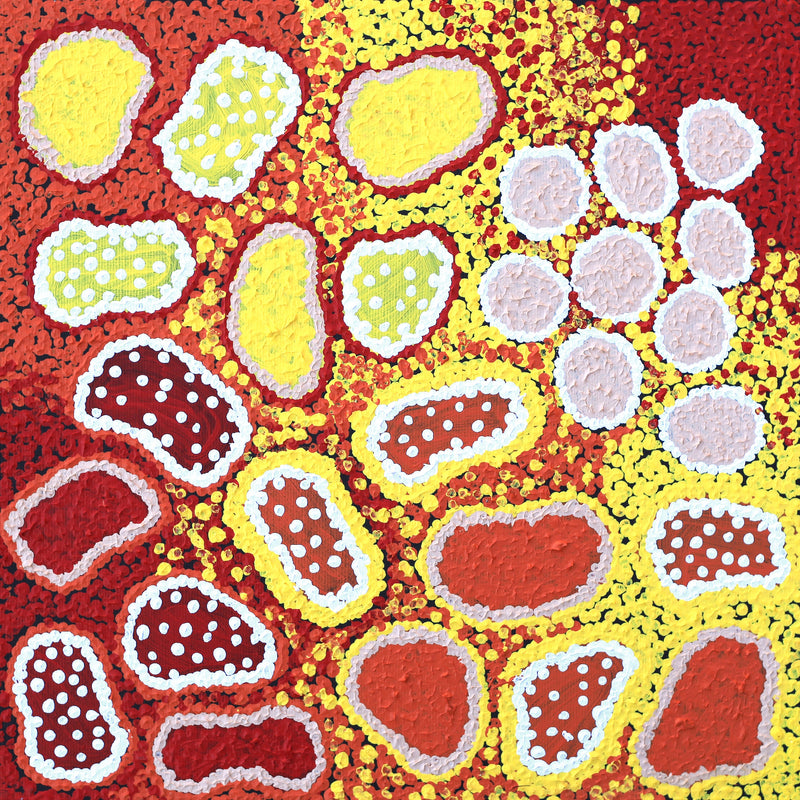 Aboriginal Artwork by Cindy Nampijinpa Mandijarra, Wardapi Jukurrpa (Goanna Dreaming) - Yarripurlangu, 30x30cm