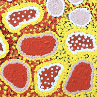 Aboriginal Artwork by Cindy Nampijinpa Mandijarra, Wardapi Jukurrpa (Goanna Dreaming) - Yarripurlangu, 30x30cm