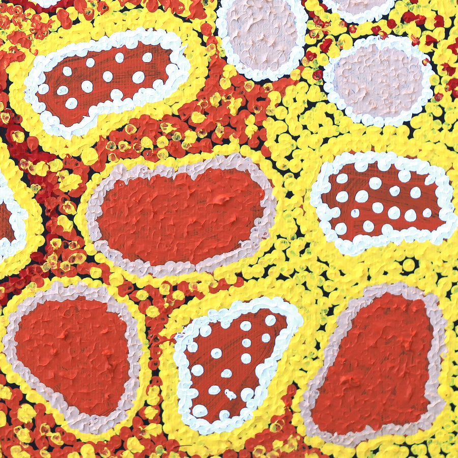 Aboriginal Artwork by Cindy Nampijinpa Mandijarra, Wardapi Jukurrpa (Goanna Dreaming) - Yarripurlangu, 30x30cm