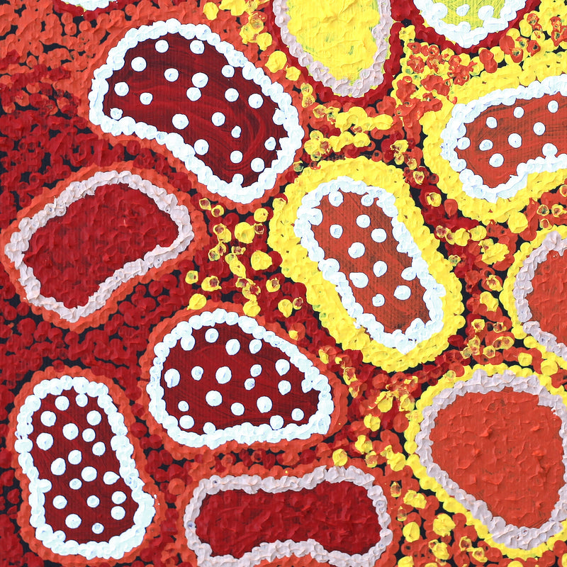 Aboriginal Artwork by Cindy Nampijinpa Mandijarra, Wardapi Jukurrpa (Goanna Dreaming) - Yarripurlangu, 30x30cm