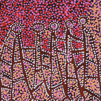 Aboriginal Artwork by Clarissa Nangala Williams, Ngapa Jukurrpa (Water Dreaming) - Puyurru, 122x46cm