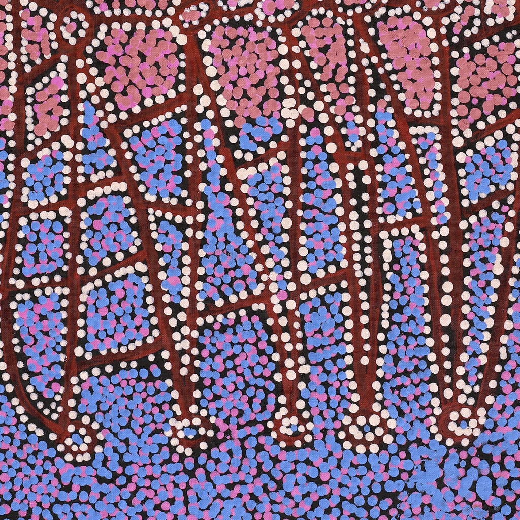 Aboriginal Artwork by Clarissa Nangala Williams, Ngapa Jukurrpa (Water Dreaming) - Puyurru, 122x46cm