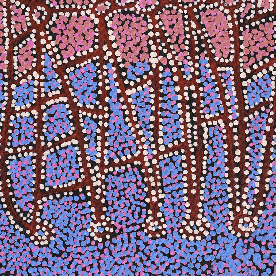 Aboriginal Artwork by Clarissa Nangala Williams, Ngapa Jukurrpa (Water Dreaming) - Puyurru, 122x46cm