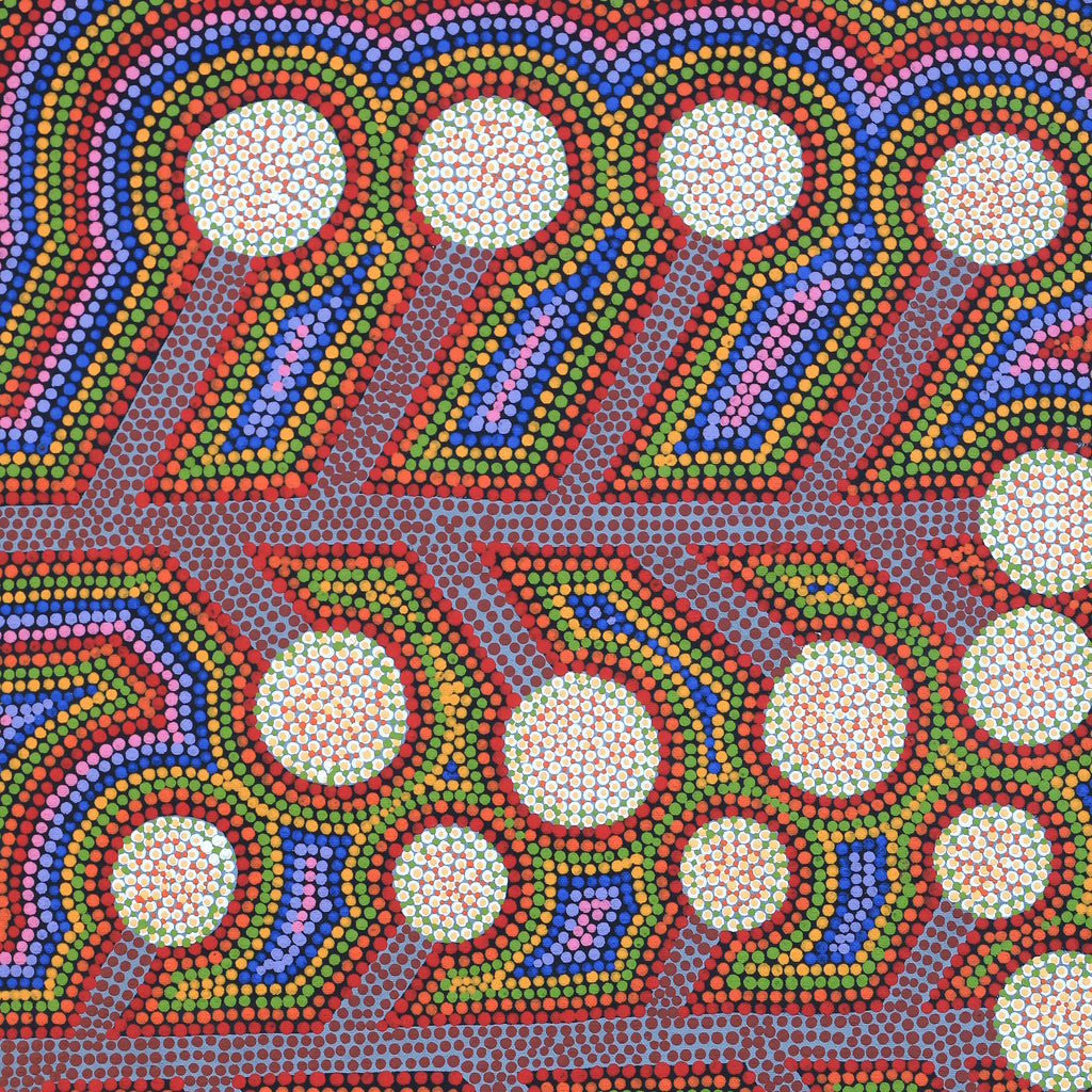 Aboriginal Artwork by Colleen Kantawarra, Yultukunpa - Honey Grevillea, 80x40cm