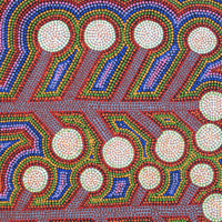 Aboriginal Artwork by Colleen Kantawarra, Yultukunpa - Honey Grevillea, 80x40cm