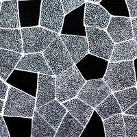 Aboriginal Artwork by Corinne Nampijinpa Ryan, Ngalyarrpa manu Puluku Jukurrpa, 46x46cm