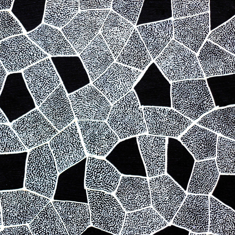 Aboriginal Artwork by Corinne Nampijinpa Ryan, Ngalyarrpa manu Puluku Jukurrpa, 46x46cm