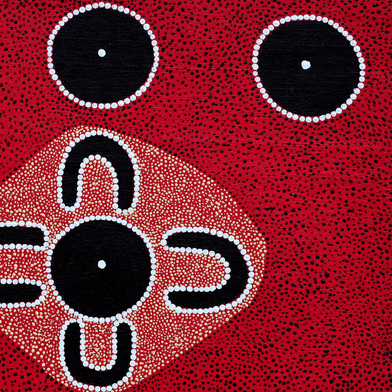Aboriginal Artwork by Cornelius Jungarrayi Spencer, Karnta Jukurrpa (Womens Dreaming), 46x46cm