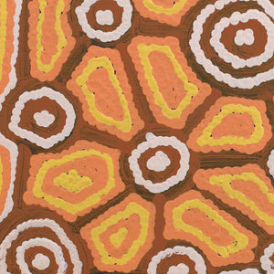 Aboriginal Artwork by Cynthia Nakamarra Wheeler, Yurrampi Jukurrpa (Honey Ant Dreaming), 30x30cm - ART ARK®