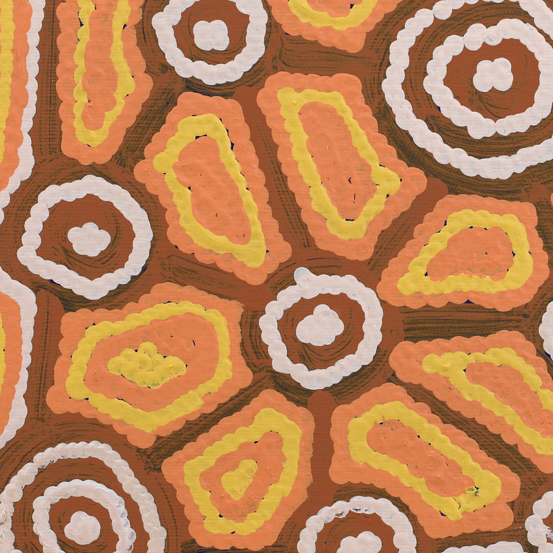 Aboriginal Artwork by Cynthia Nakamarra Wheeler, Yurrampi Jukurrpa (Honey Ant Dreaming), 30x30cm