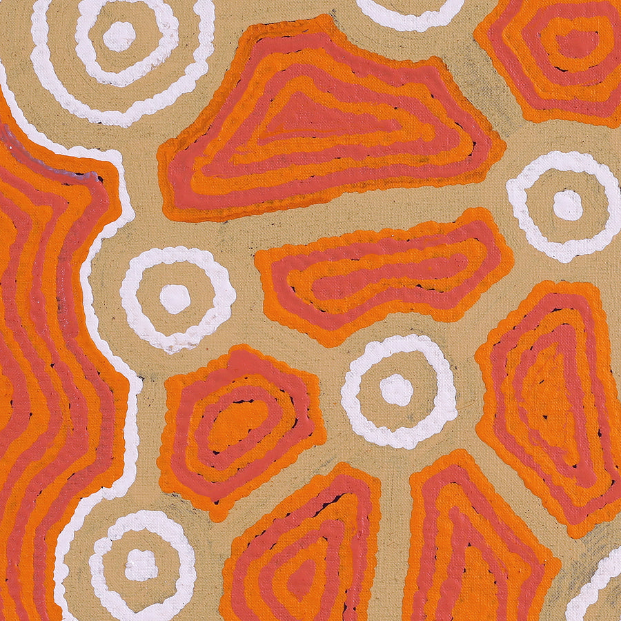Aboriginal Artwork by Cynthia Nakamarra Wheeler, Yurrampi Jukurrpa (Honey Ant Dreaming), 46x46cm