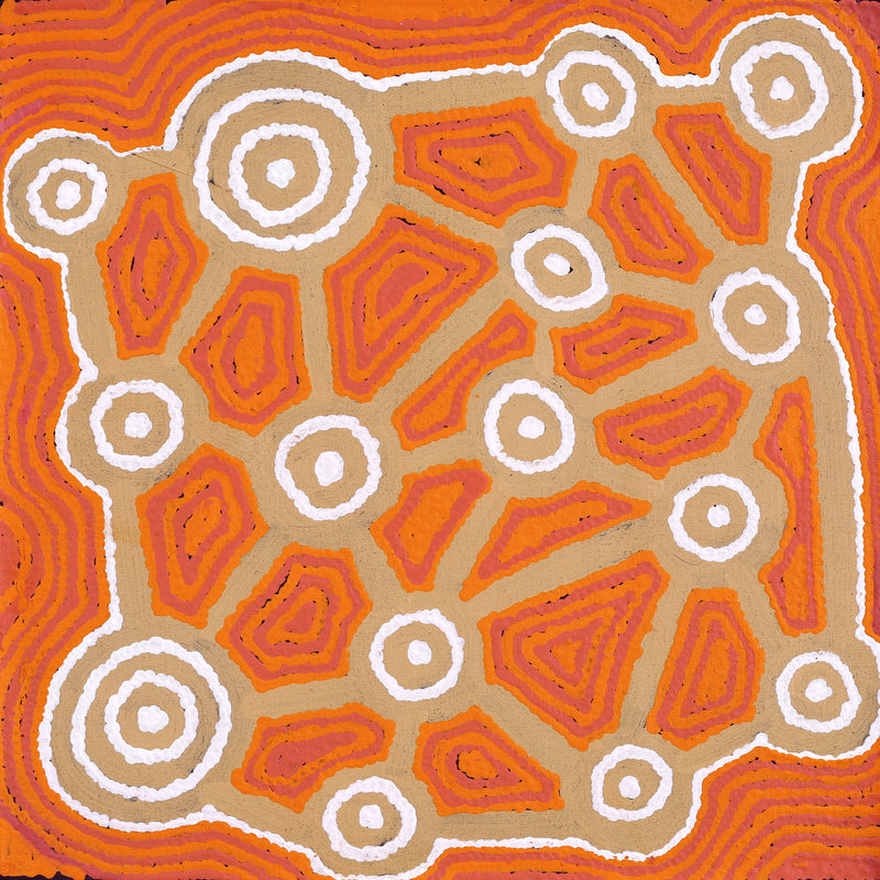 Aboriginal Artwork by Cynthia Nakamarra Wheeler, Yurrampi Jukurrpa (Honey Ant Dreaming), 46x46cm