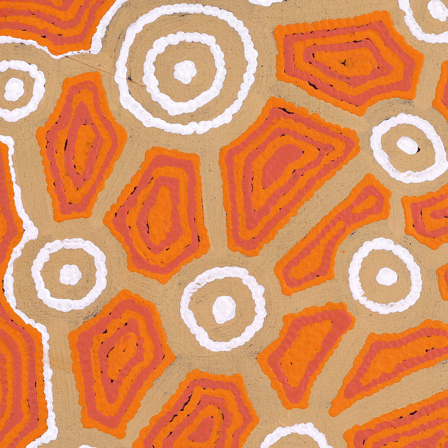 Aboriginal Artwork by Cynthia Nakamarra Wheeler, Yurrampi Jukurrpa (Honey Ant Dreaming), 46x46cm