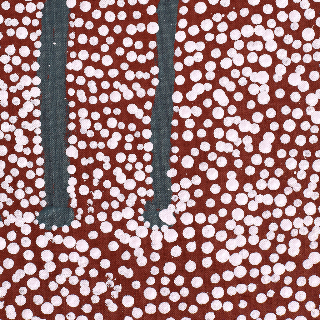 Aboriginal Artwork by Desmond Japangardi Williams, Ngapa Jukurrpa - Pirlinyarnu, 91x46cm