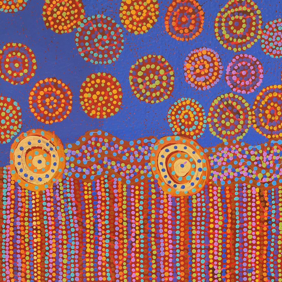 Aboriginal Artwork by Deanne Nakamarra White, Janmarda Jukurrpa (Bush Onion Dreaming), 91x61cm