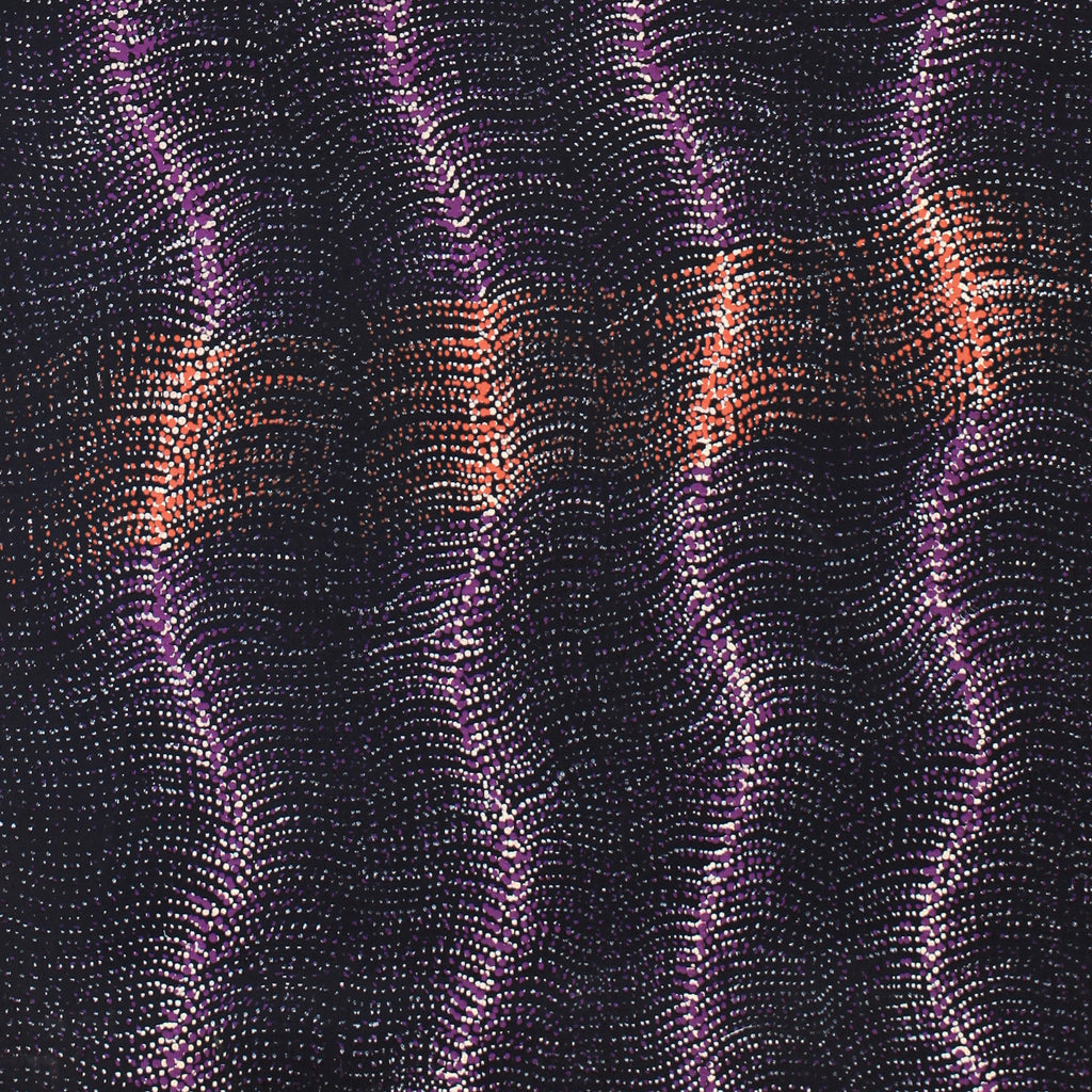 Aboriginal Artwork by Debbie Napaljarri Brown, Wanakiji Jukurrpa (Bush Tomato Dreaming), 107x61cm