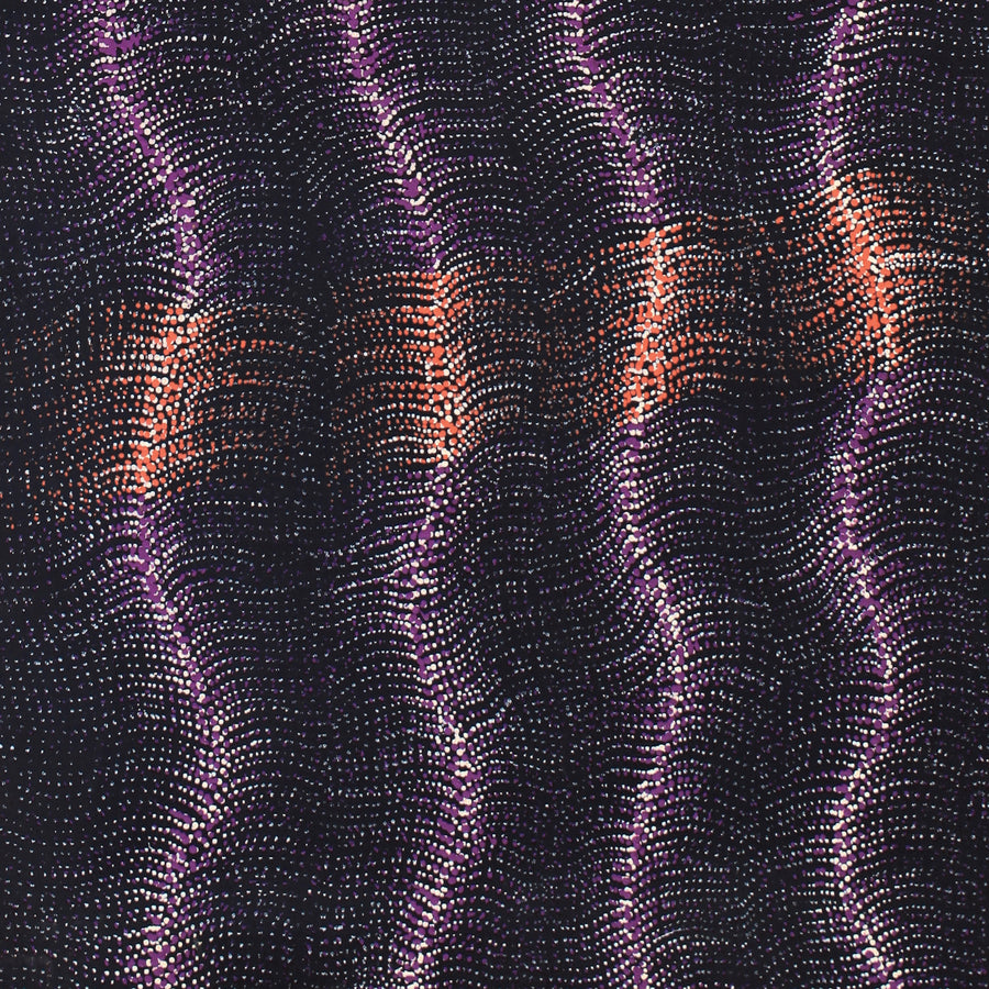 Aboriginal Artwork by Debbie Napaljarri Brown, Wanakiji Jukurrpa (Bush Tomato Dreaming), 107x61cm