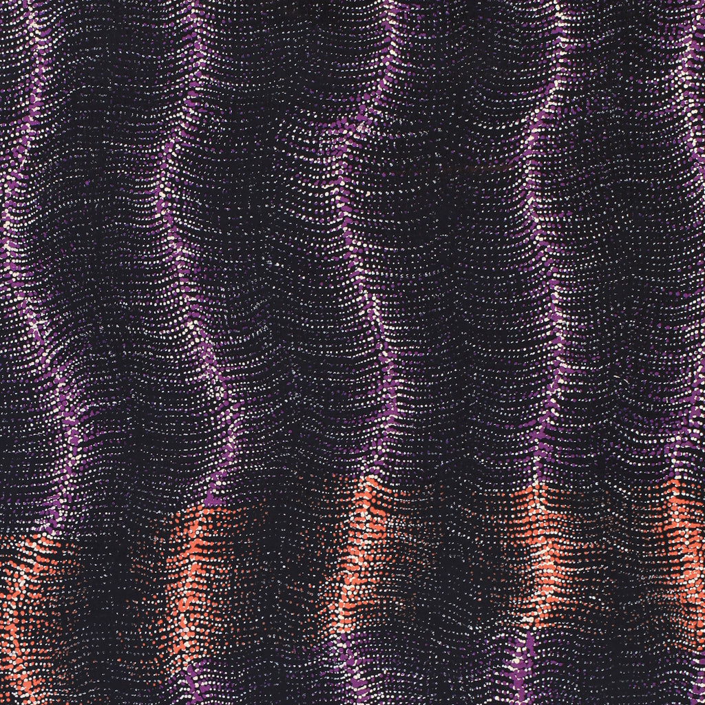 Aboriginal Artwork by Debbie Napaljarri Brown, Wanakiji Jukurrpa (Bush Tomato Dreaming), 107x61cm
